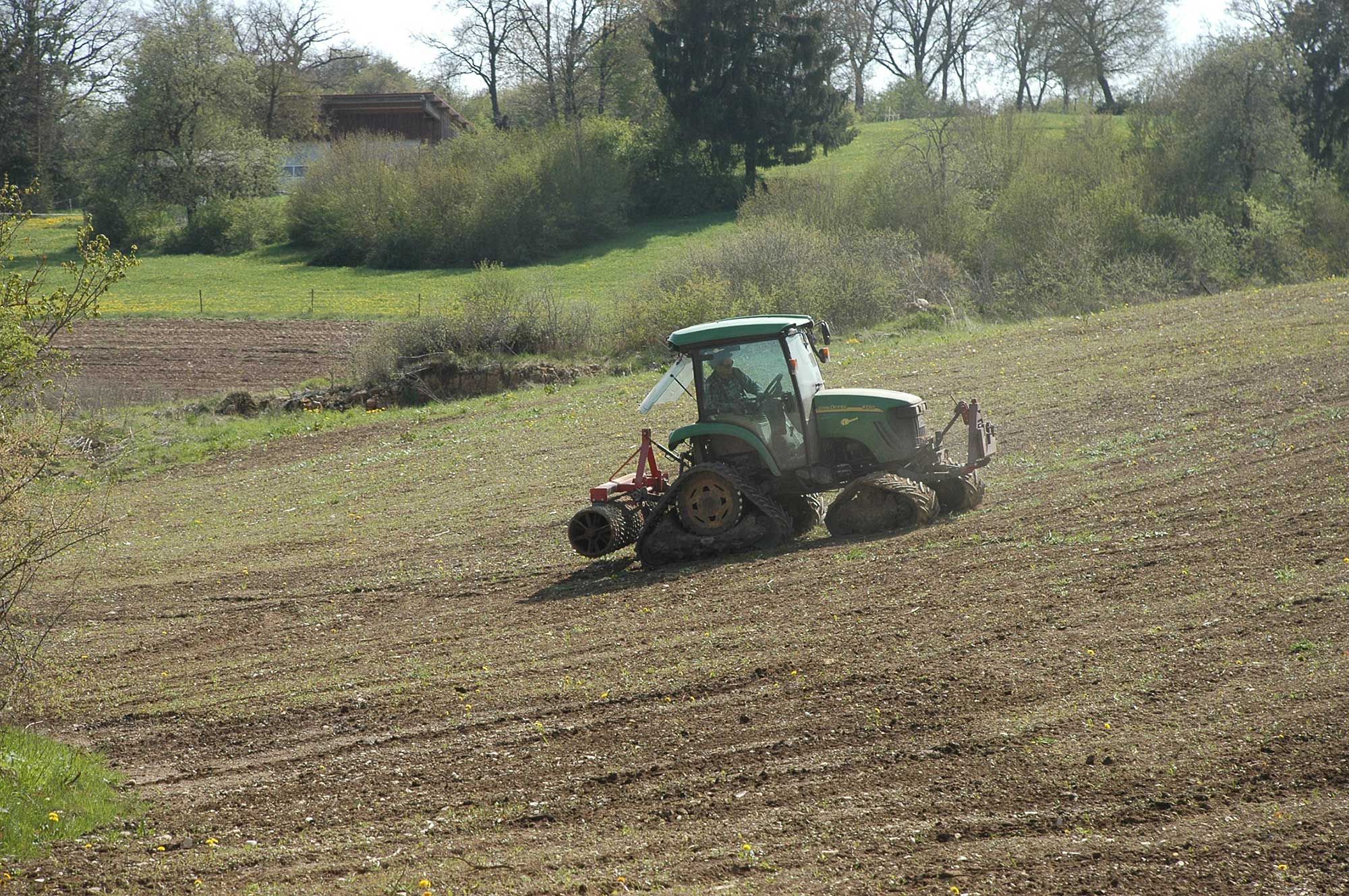Anlage einer Blumenwiese auf einem rekultivierten Standort