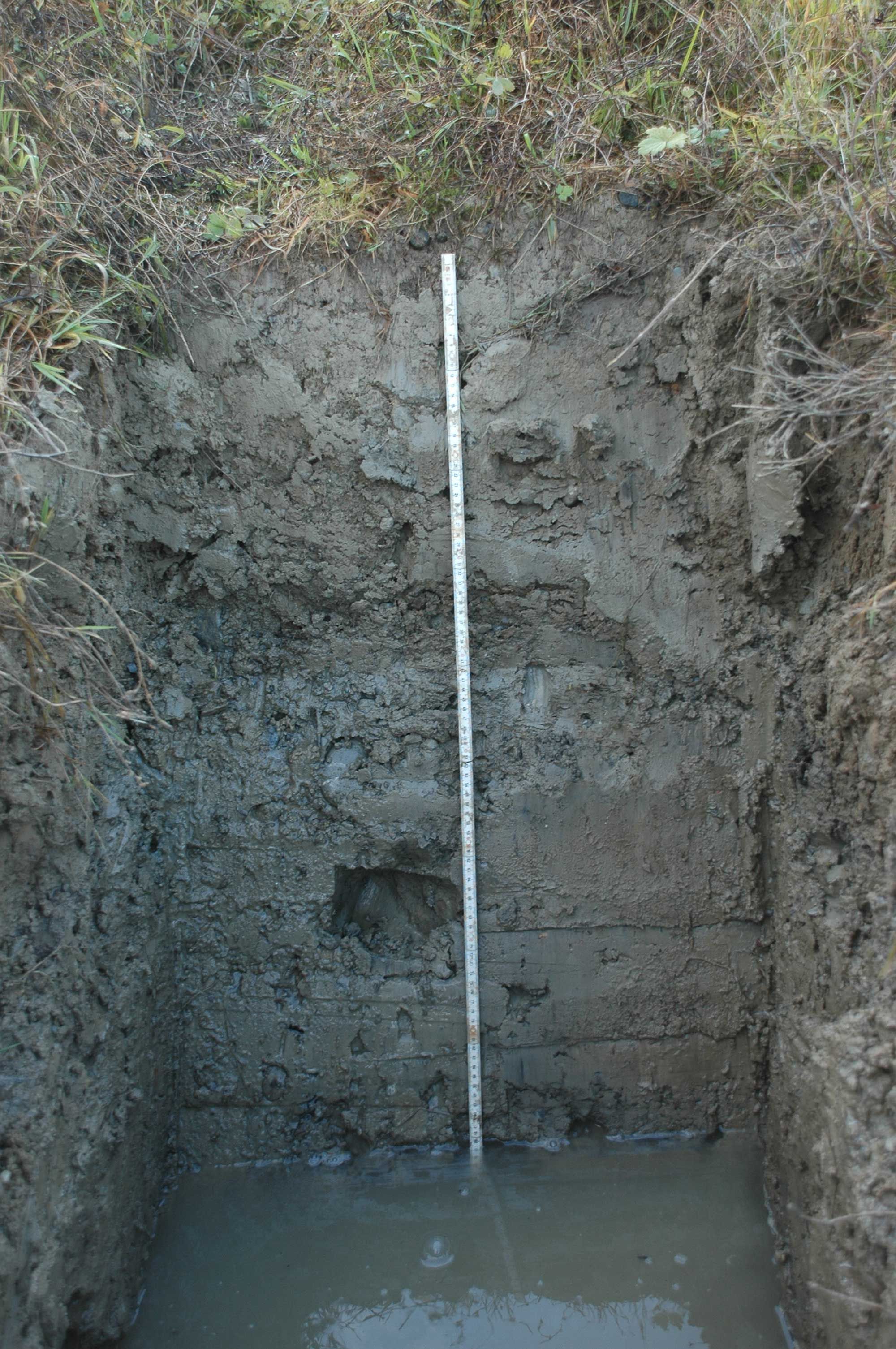 Rekultivierungsboden mit Stauwassereinfluss