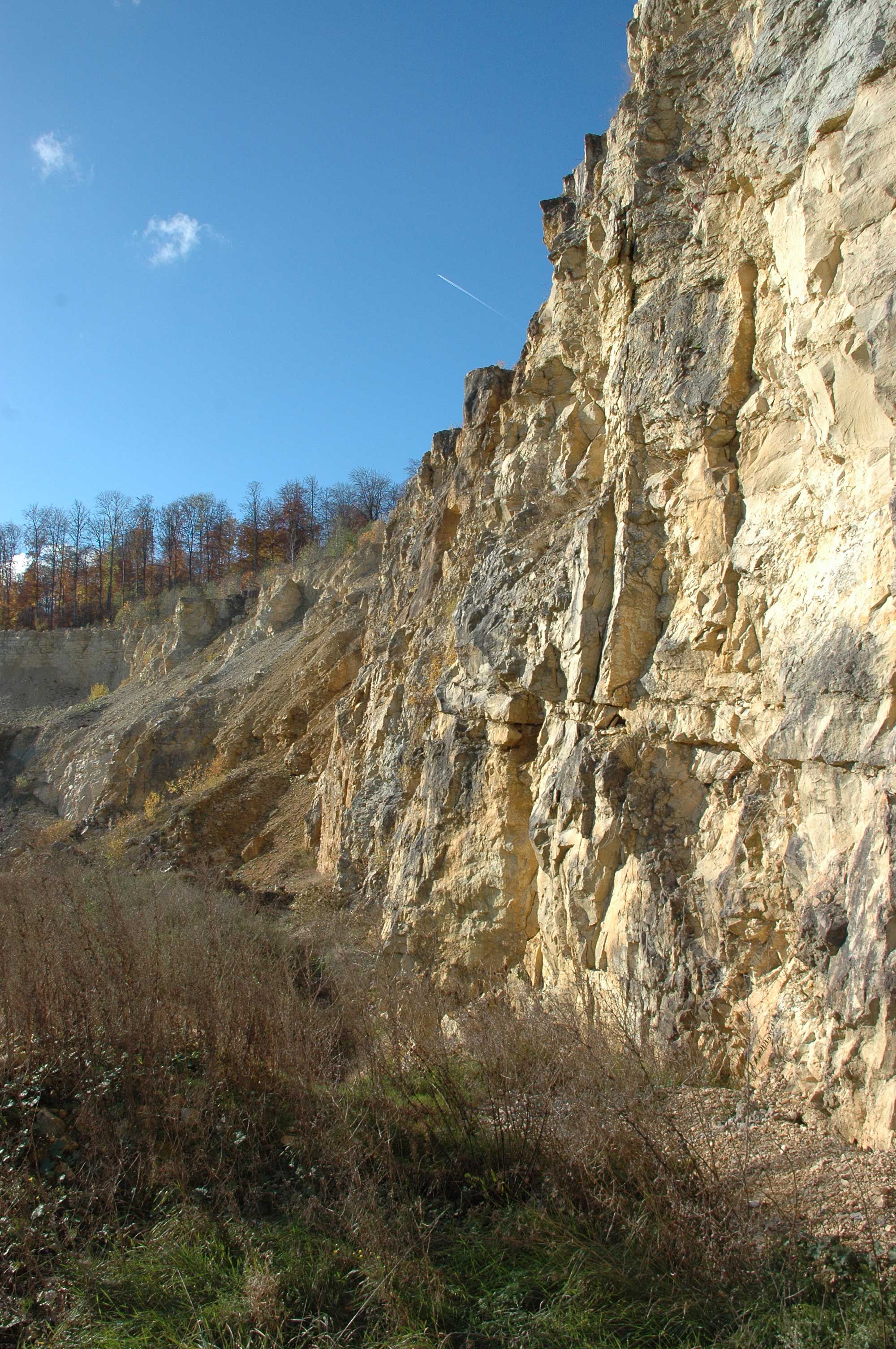 Steilwand im Kalksteinbruch