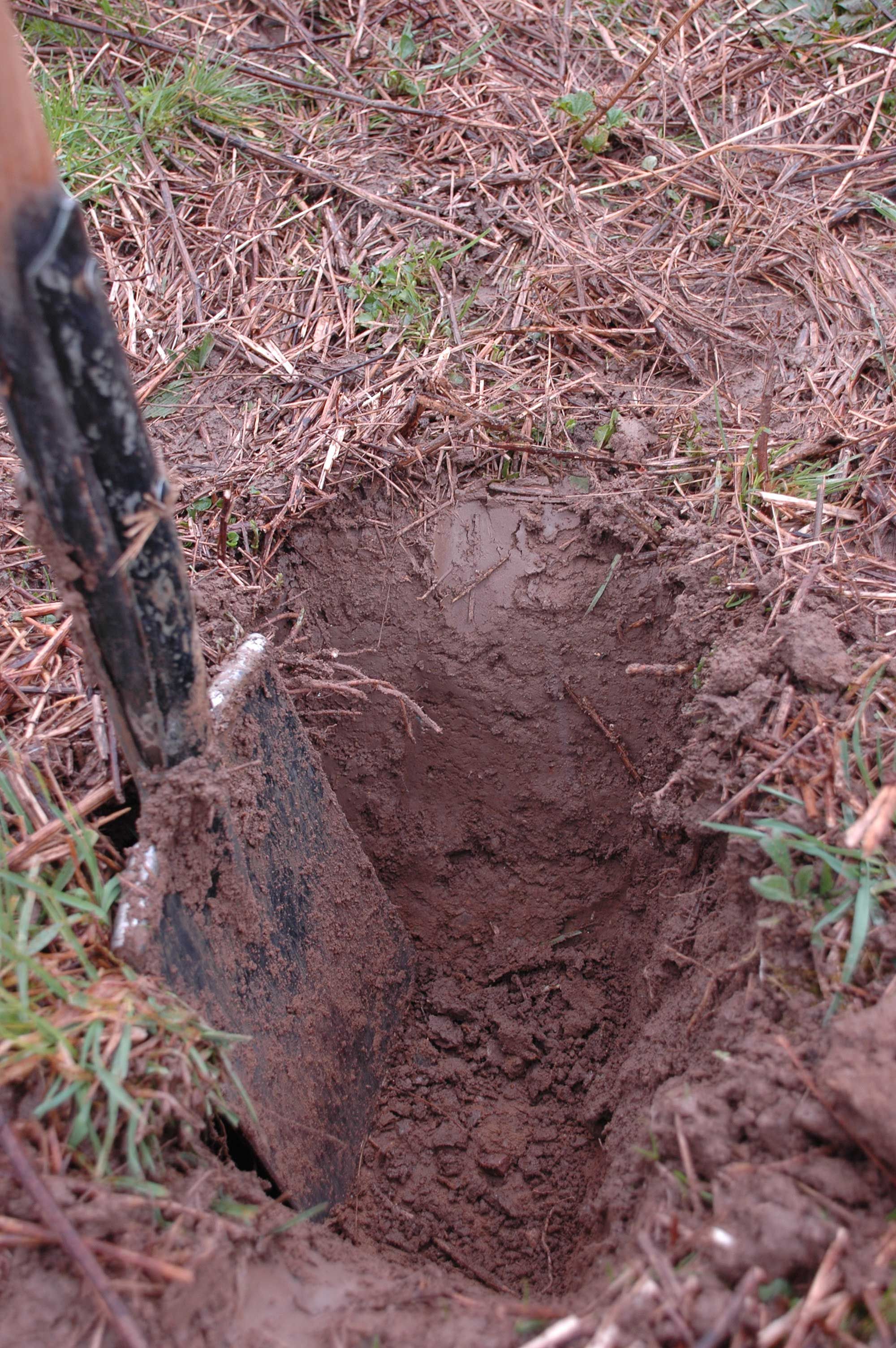 Kleinschurf zur Bestimmung der Mächtigkeit des Oberbodens