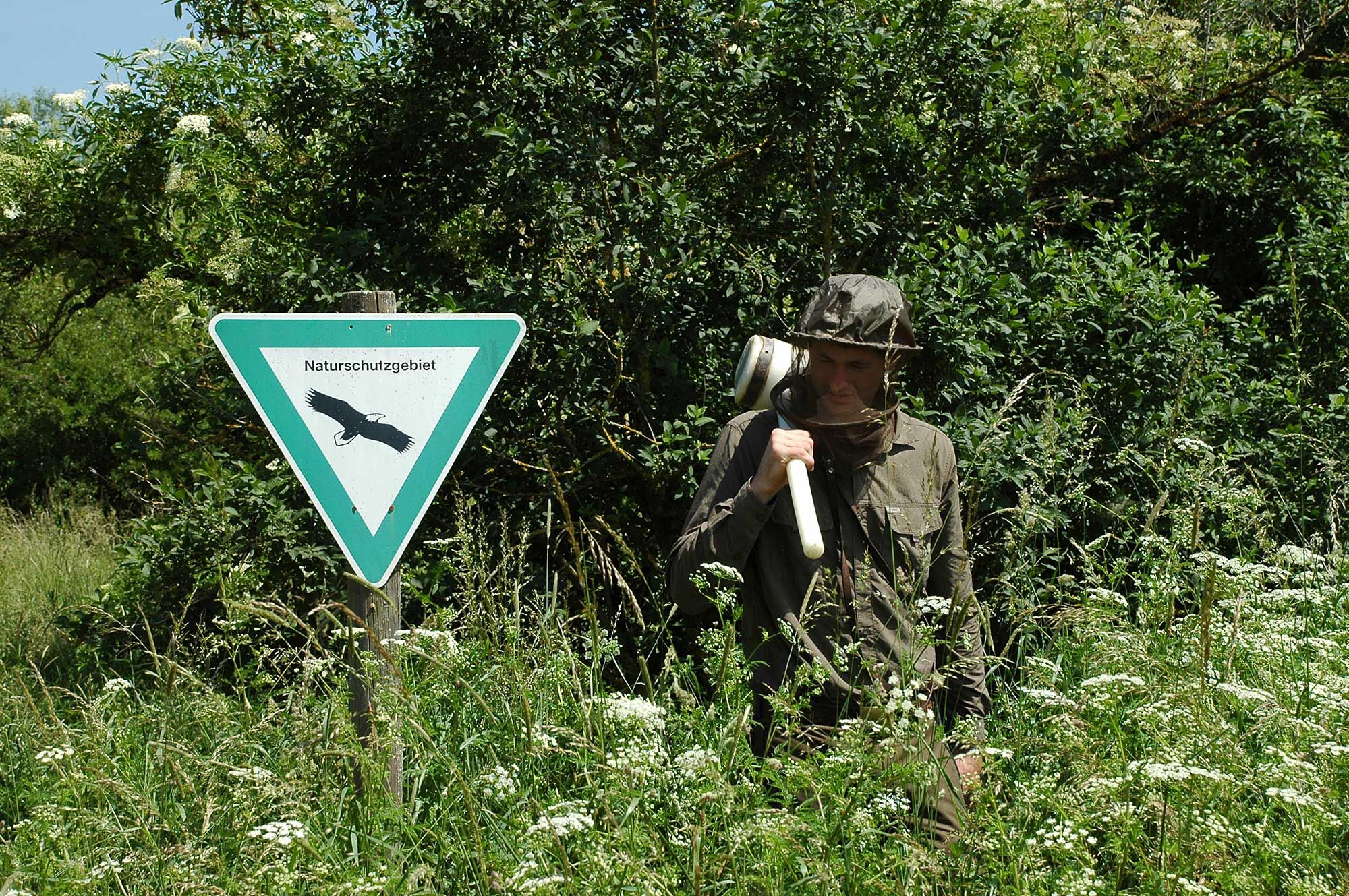 Kartierung im Auwald