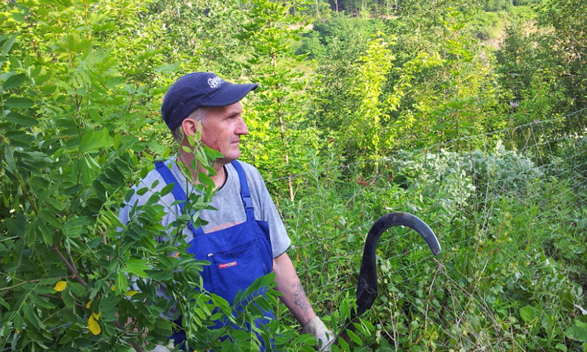 manuelle Kultursicherungsarbeiten