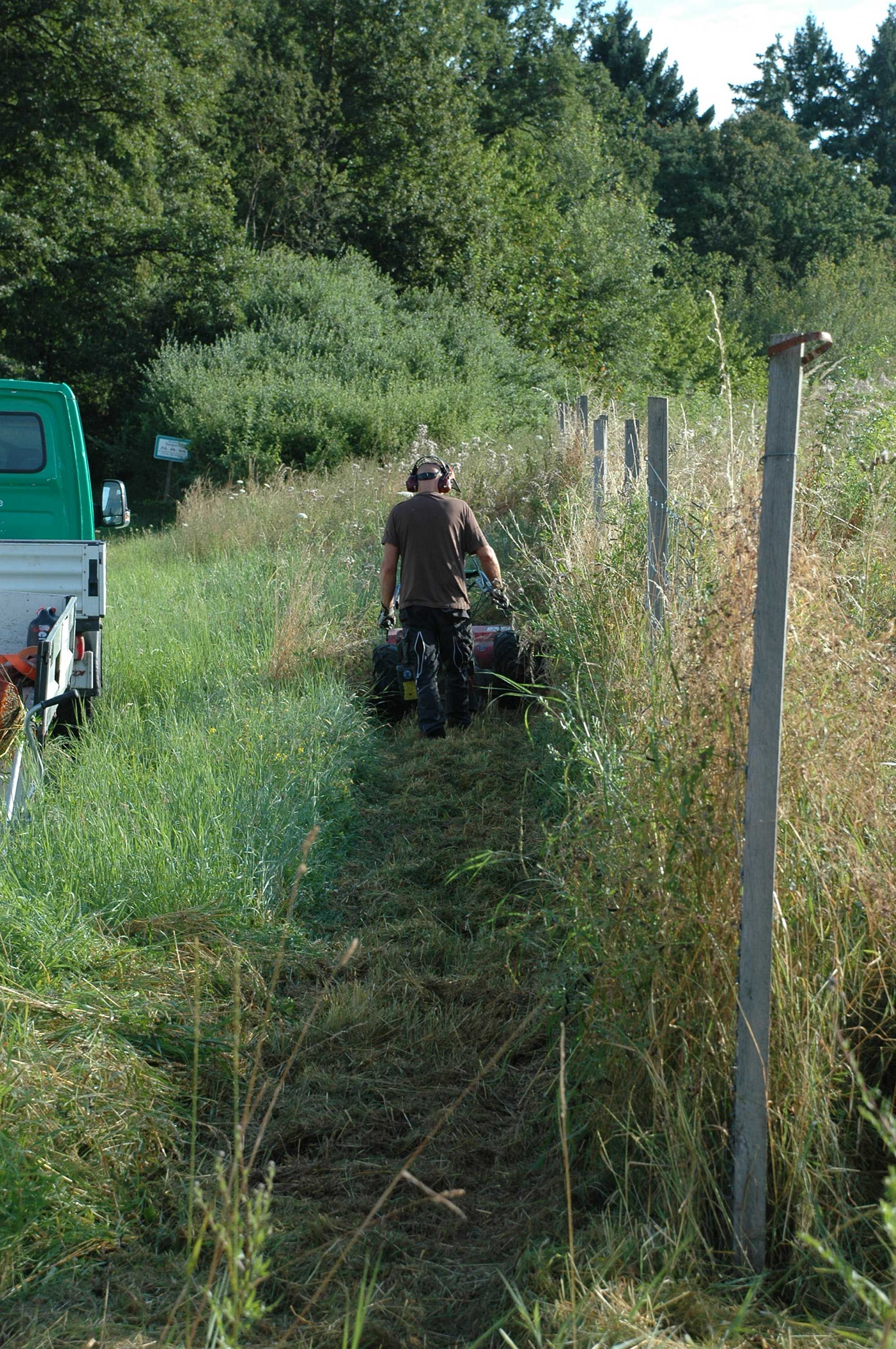 Freimähen von Zäunen