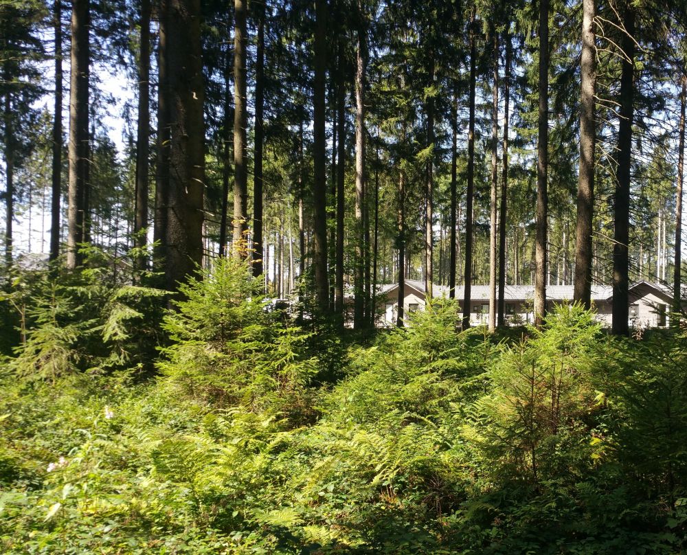 Center Parcs, Park Allgäu - Waldentwicklungskonzept