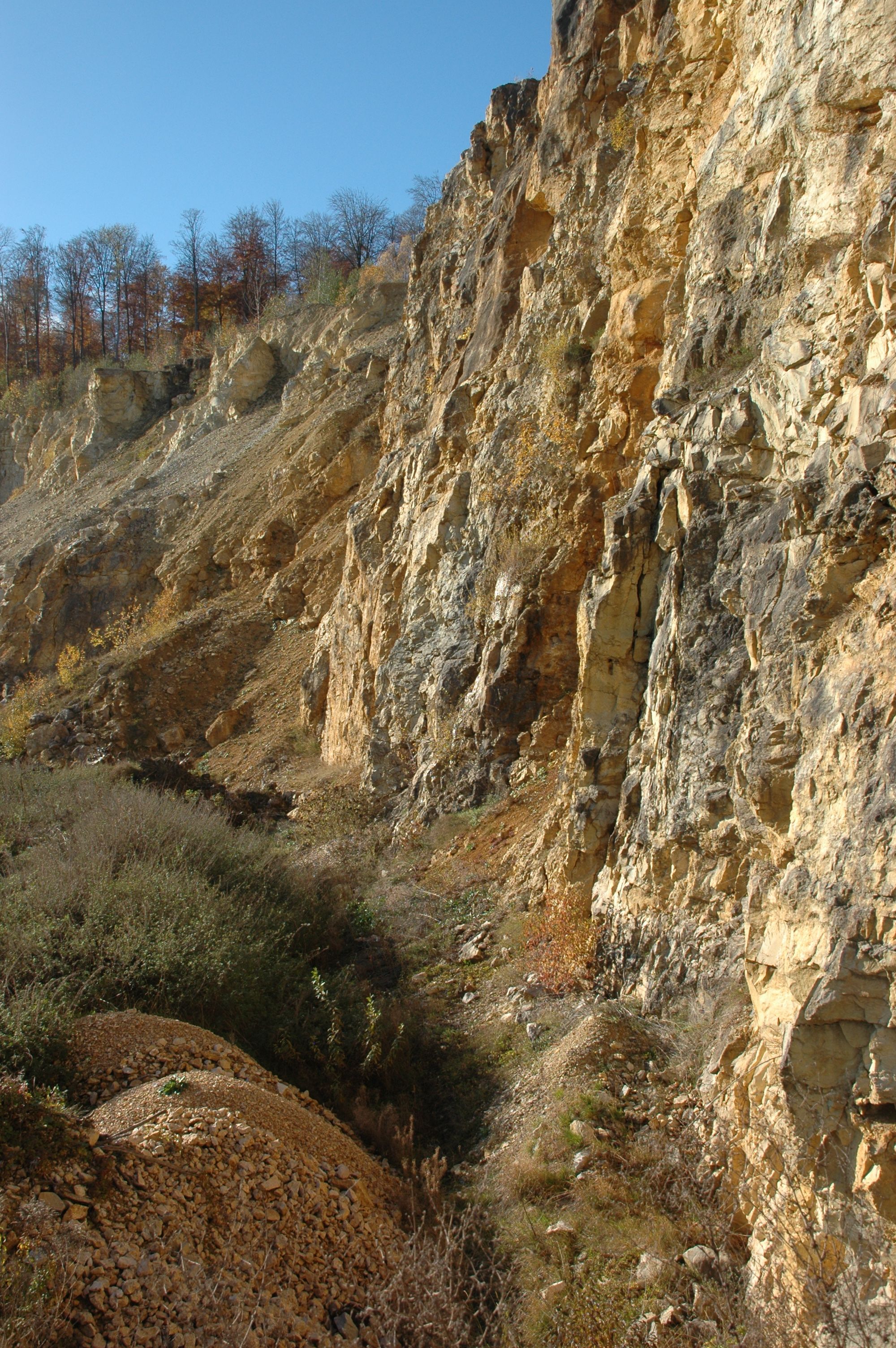 Kalksteinbruch auf der Schwäbischen Alb